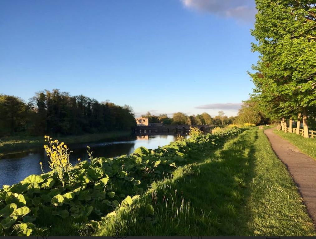 Adare Luxury Riverside